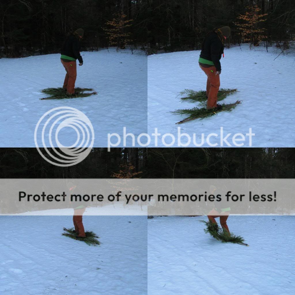Snowshoes4_zps85d38b7b.jpg