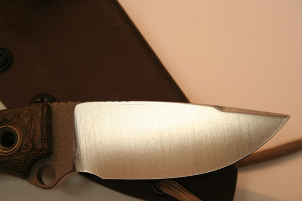 Busse-048-M.jpg