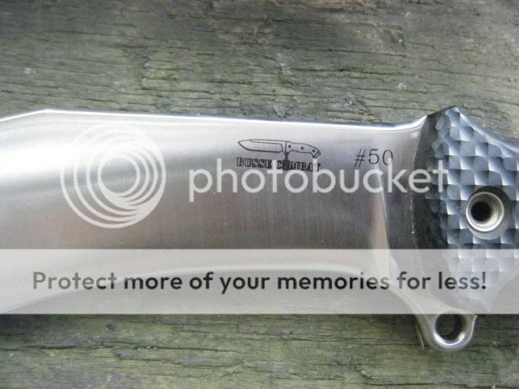 DSCF1742.jpg