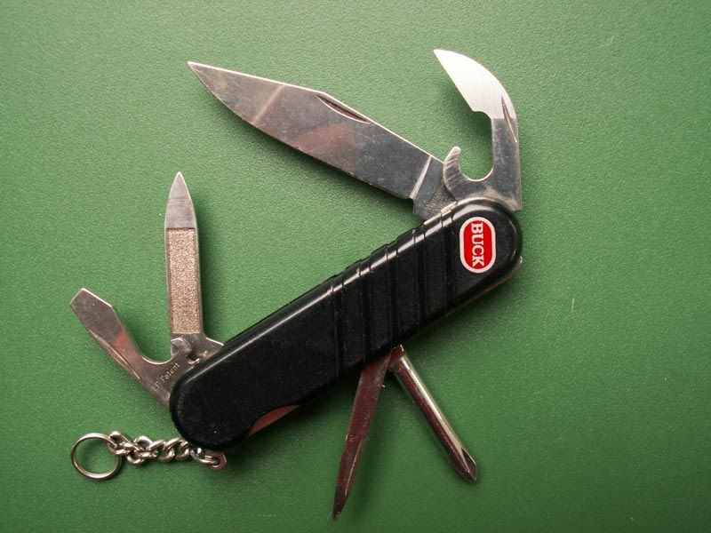 swissbuck.jpg