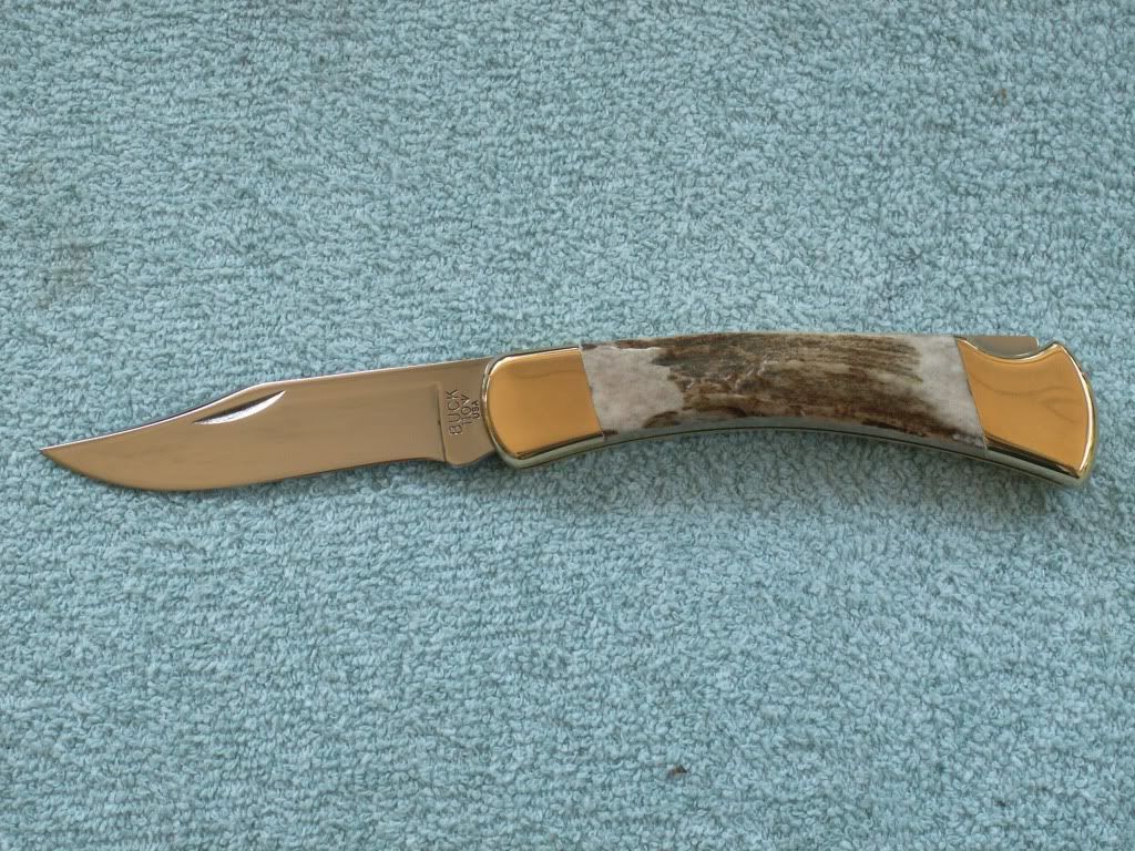 GeigerStag110front.jpg
