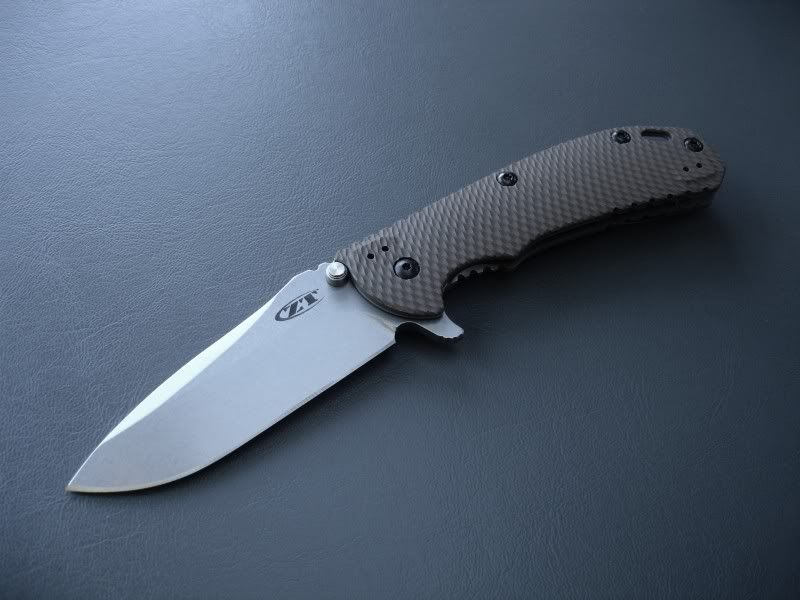 ZT0561.jpg