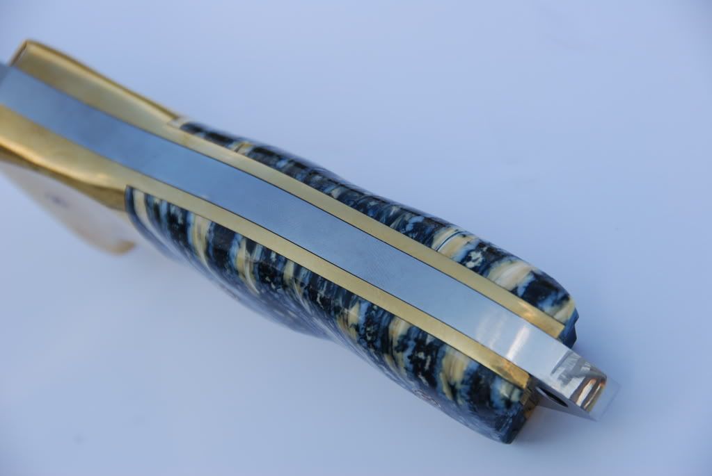 Busse008.jpg