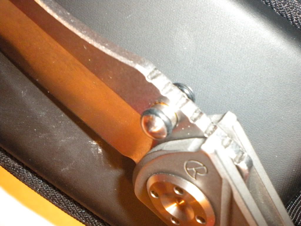 DSCN0093.jpg
