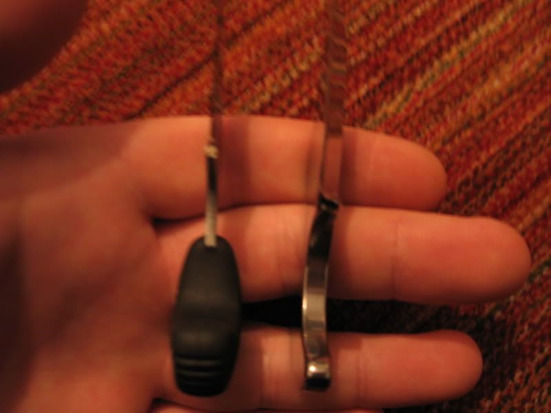 IMG_2451_resize.jpg