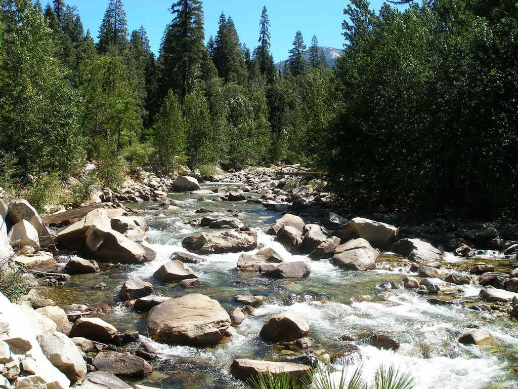 KingsCanyon2007128.jpg