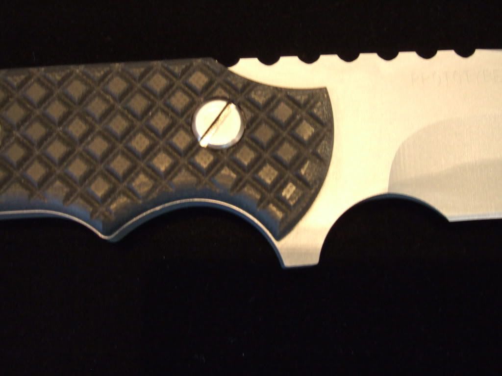 DSCF0681.jpg