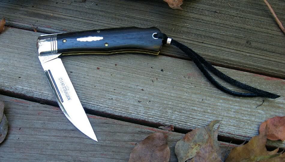 GEC72Wharncliffe010.jpg