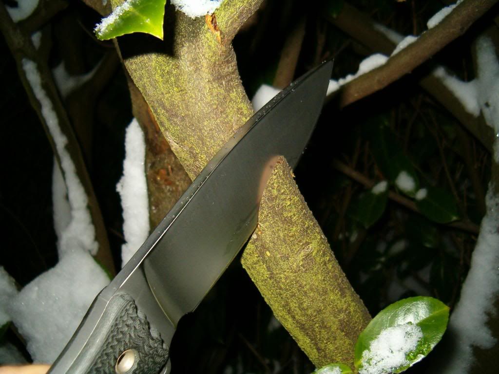HPIM0925.jpg