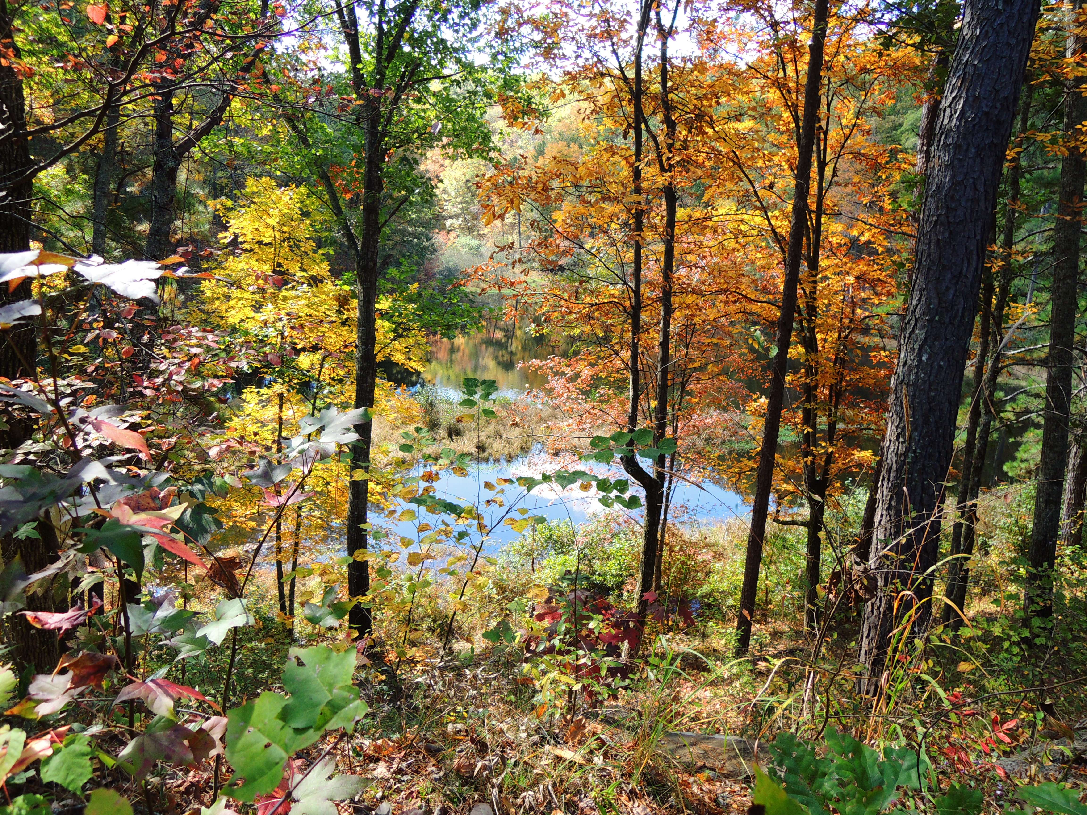 dscn2704v.jpg