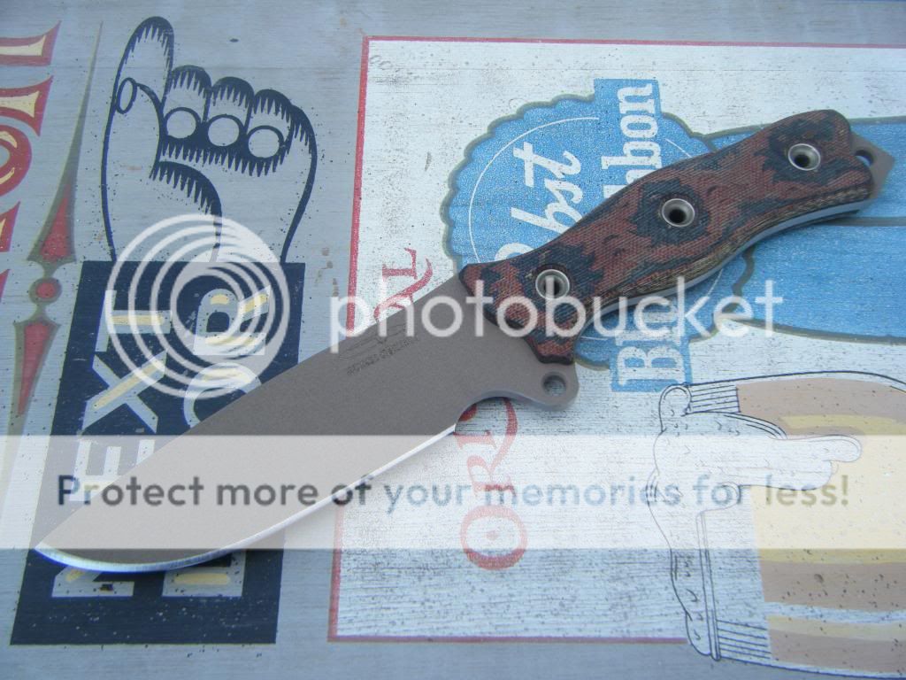 DSCF1561.jpg
