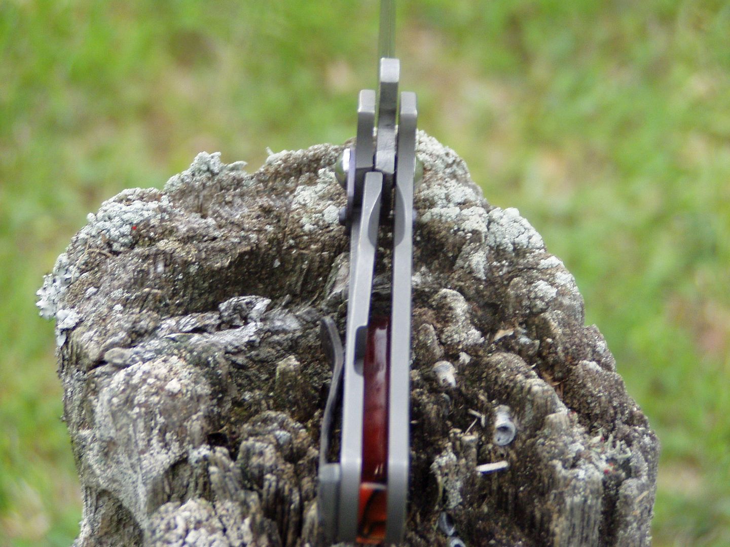 009_zpspbburcy1.jpg