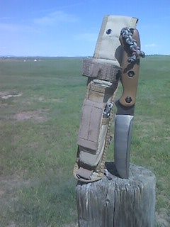 IMG00217.jpg