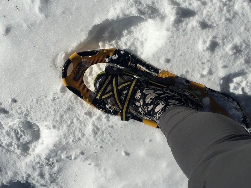 switchingtosnowshoes_zpsjusjcn92.jpg