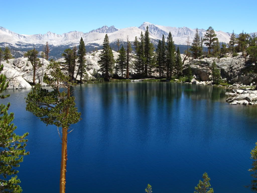 IMG_2545.jpg