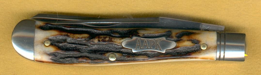 aapk20101.jpg