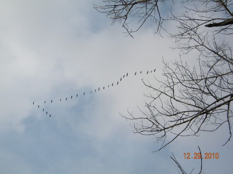 DSCN3221.jpg
