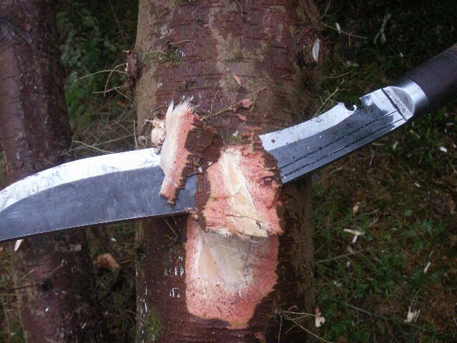 butchersfieldtest019.jpg