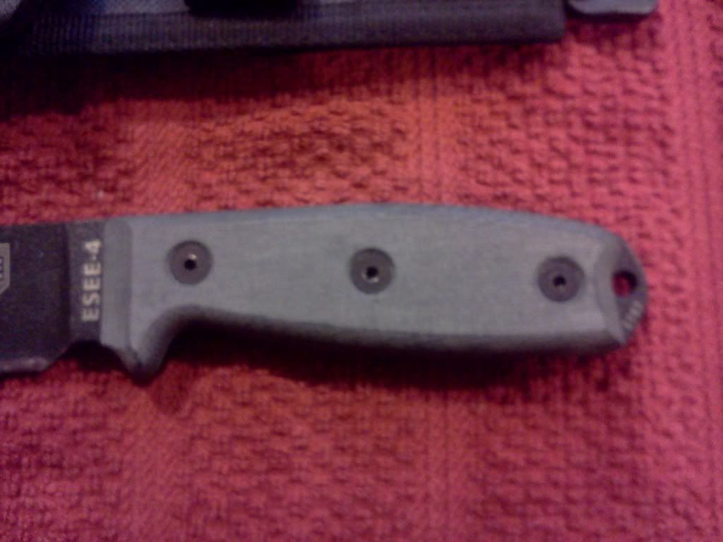 ESEE4207.jpg