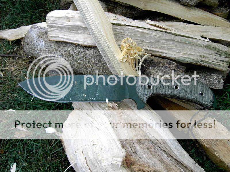 PICT5142.jpg