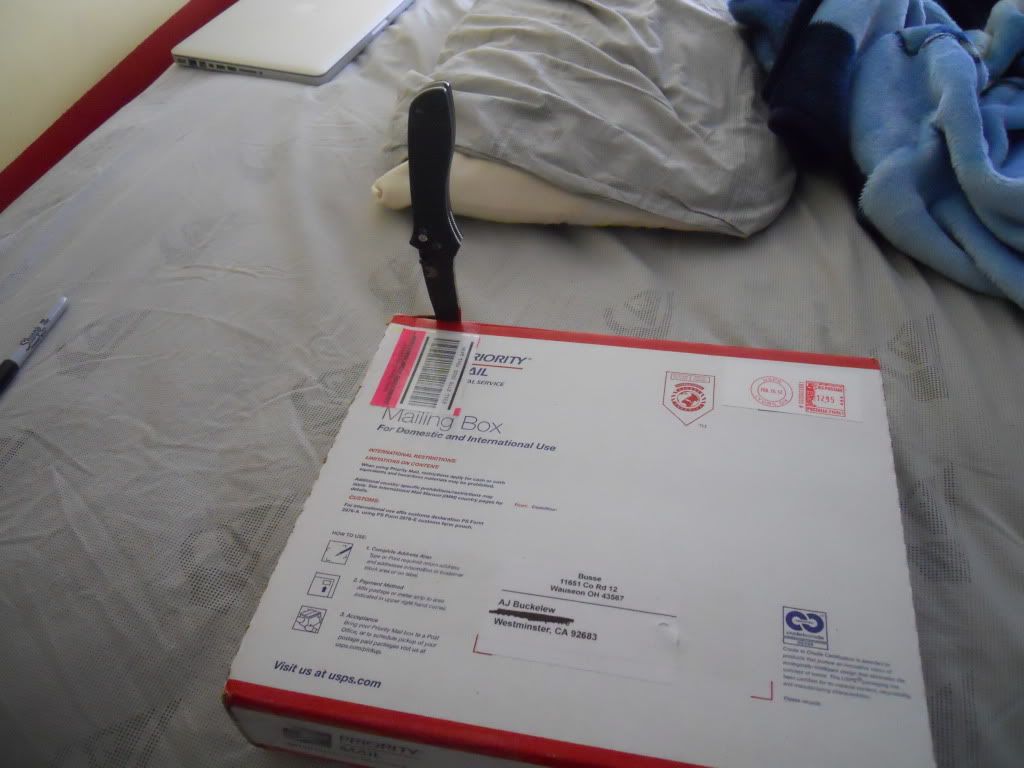 DSCN1715.jpg