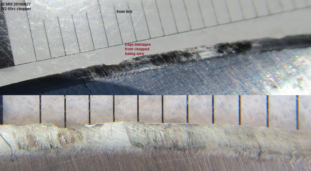 oHF4tkb.jpg