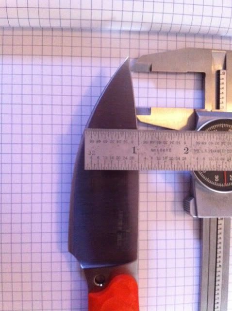 image-17.jpg