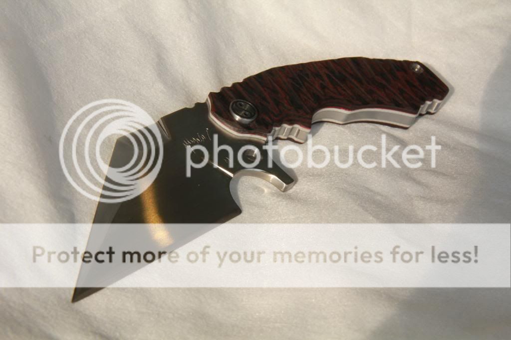 IMG_3035_zps4bec71dd.jpg