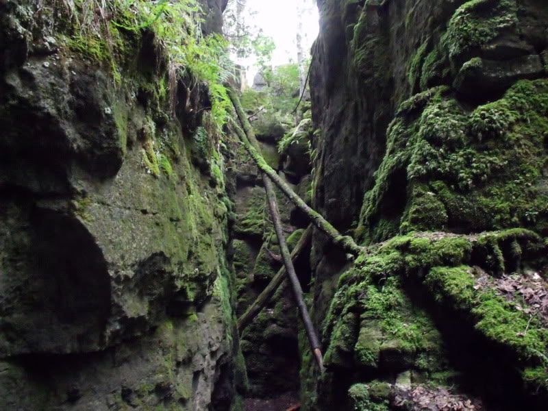 DSCF3501.jpg