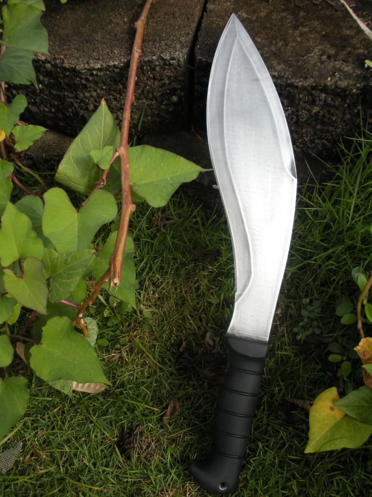 DSCN0810.jpg