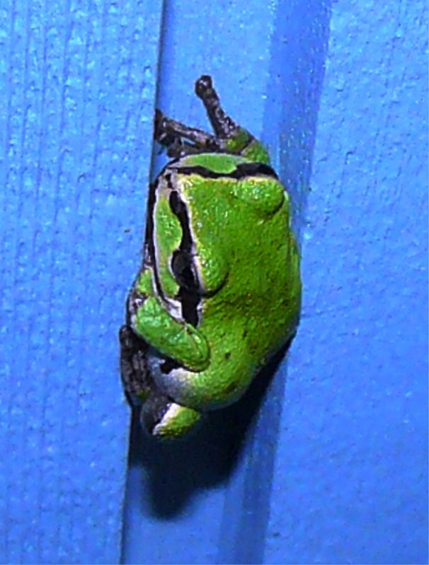 08-04-2012b005.jpg