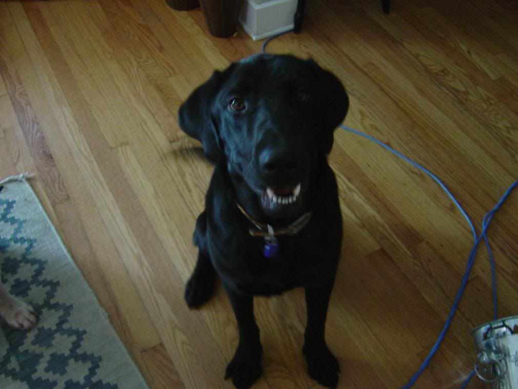 5-5-08005.jpg