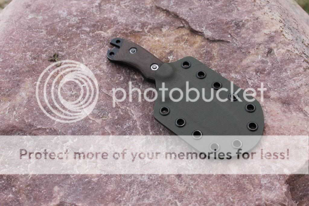 IMG_2374_zps3f11dc3b.jpg