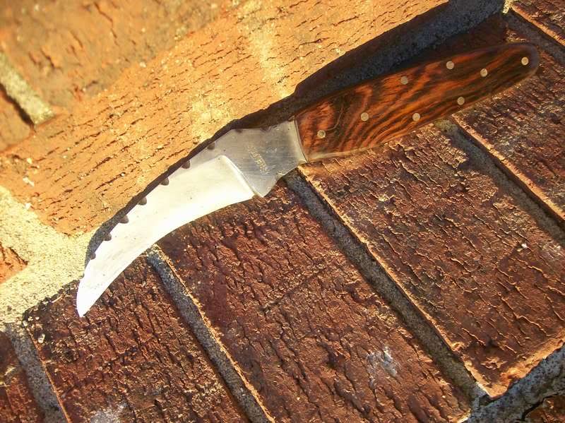 hawkbill006.jpg