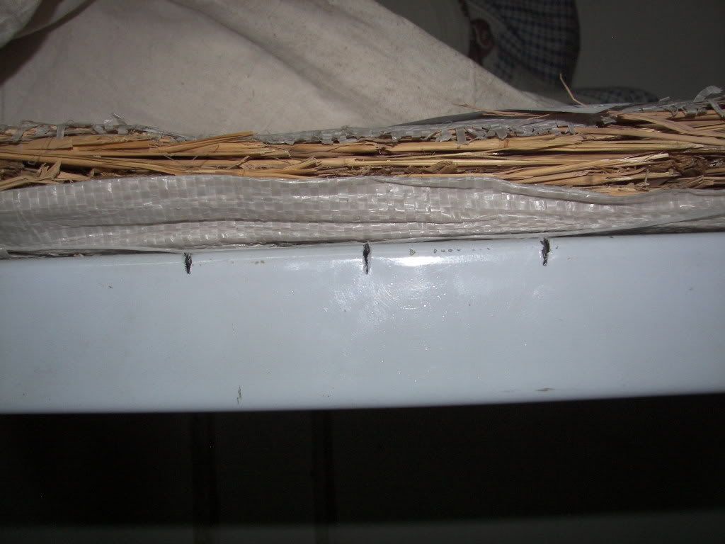 121_3935.jpg