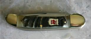 KCcopperhead-1.jpg