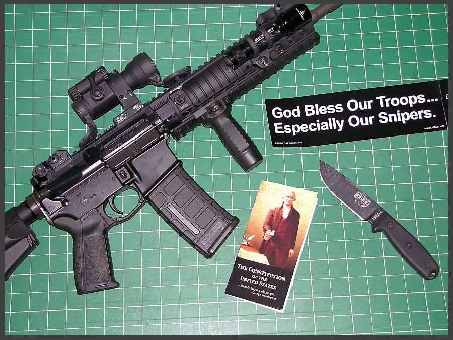 esee-4_ar-15_constitution.jpg