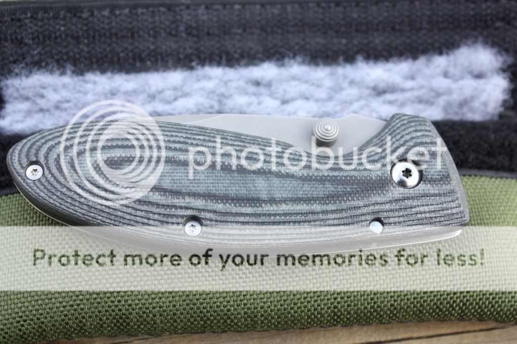 IMG_2406_zps246e74fe.jpg