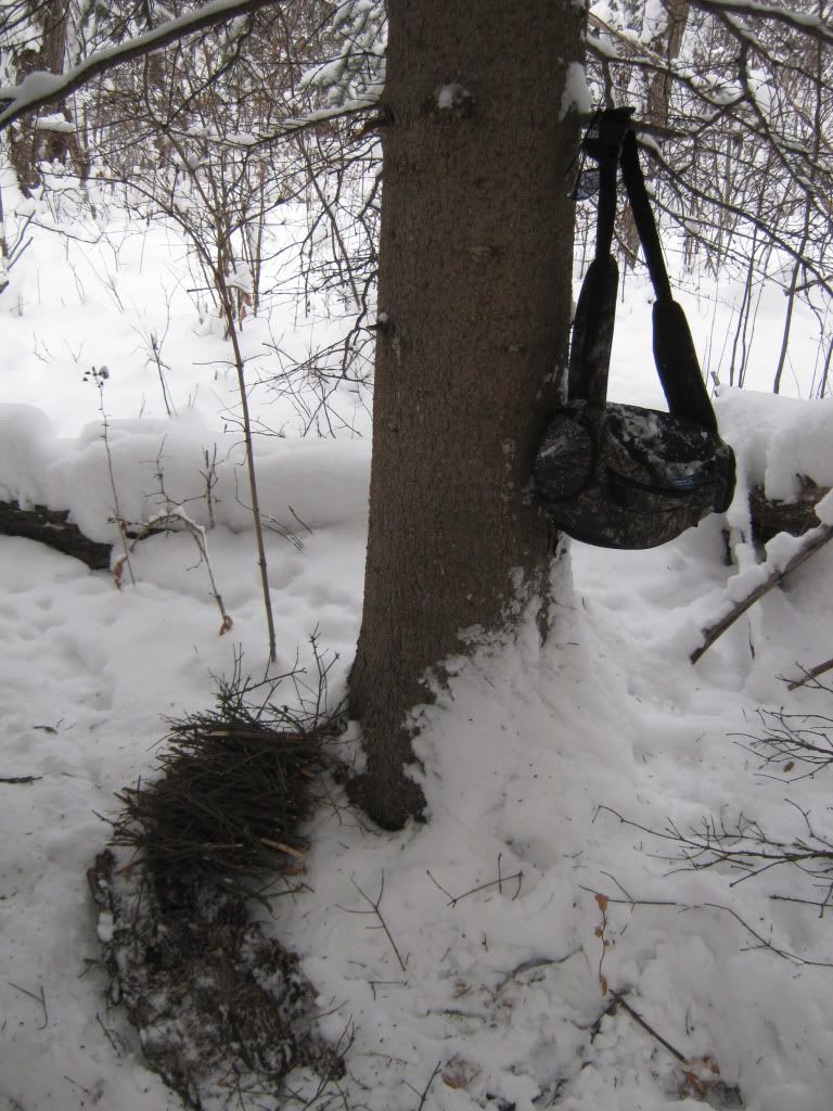 decemberbushcraft008.jpg