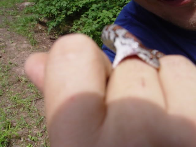 DSC02150.jpg