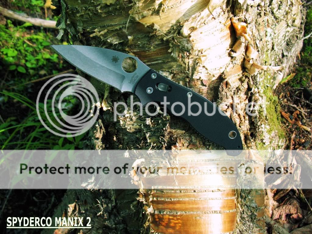 SPYDERCOTREE.jpg