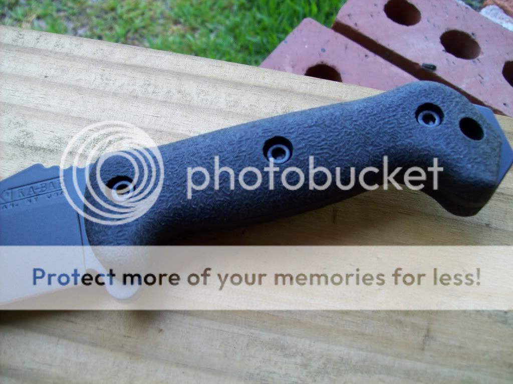 PictureorVideo1274.jpg