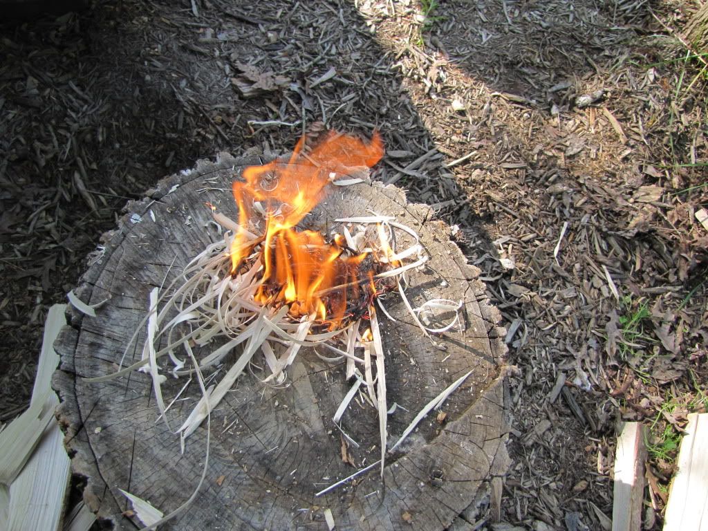pic5.jpg
