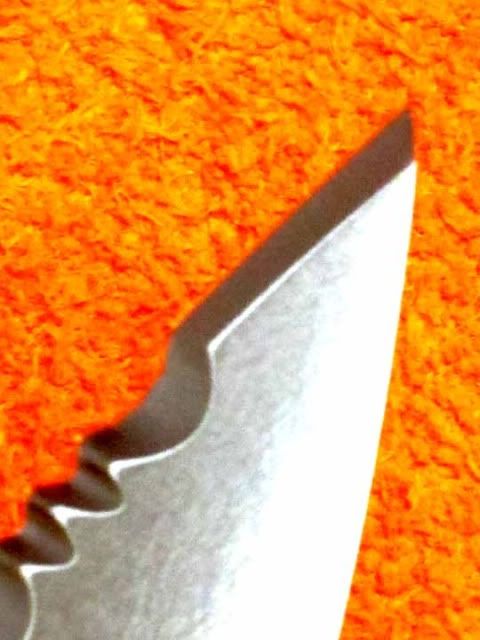 SpydercoCaly3re-tip.jpg