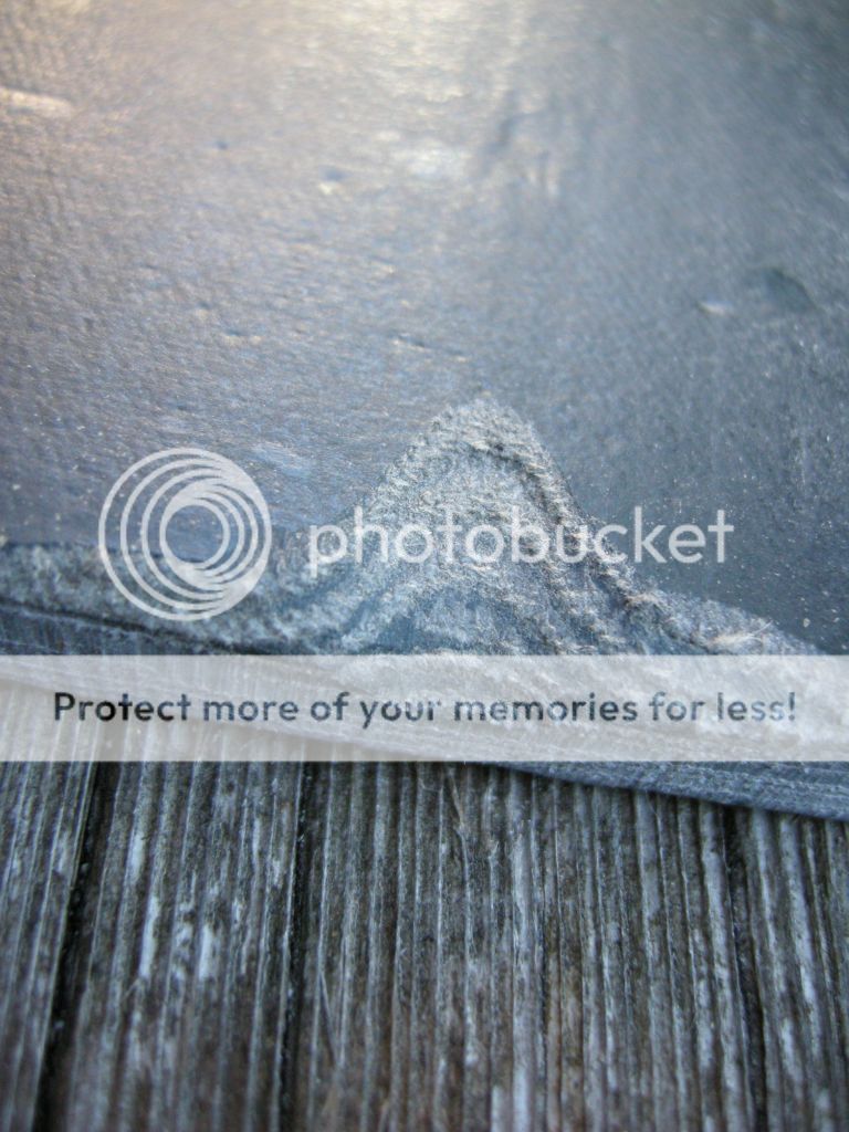 DSCN1505.jpg
