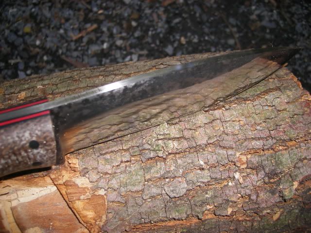 camping027.jpg