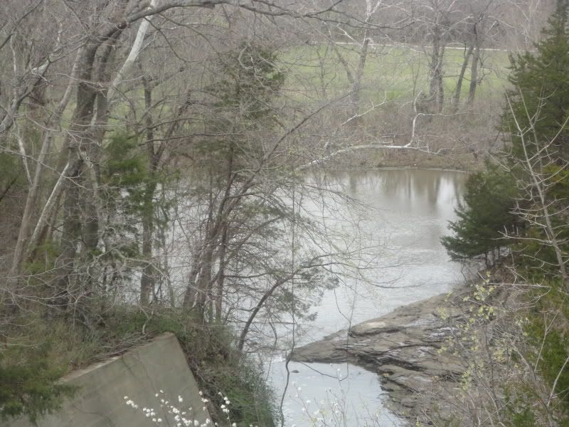 springfork003.jpg