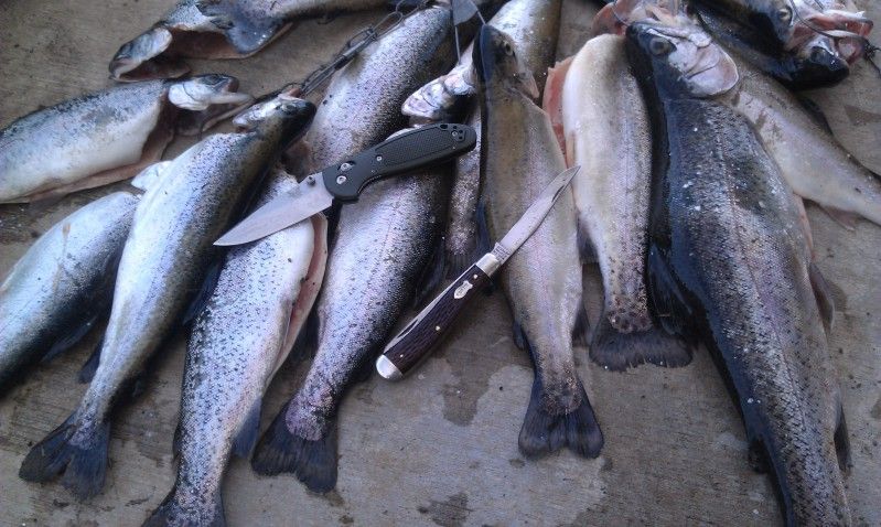 fishin009.jpg