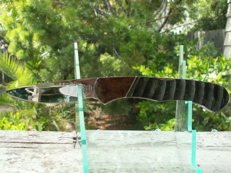 Impala532.jpg