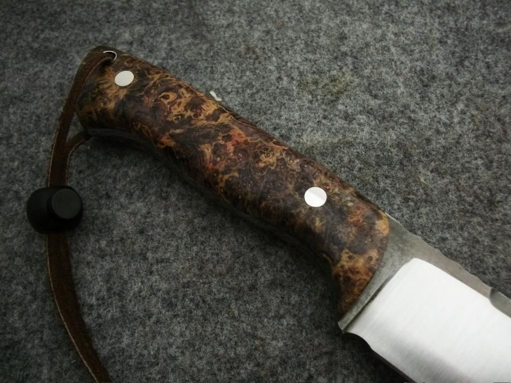 bechop019.jpg